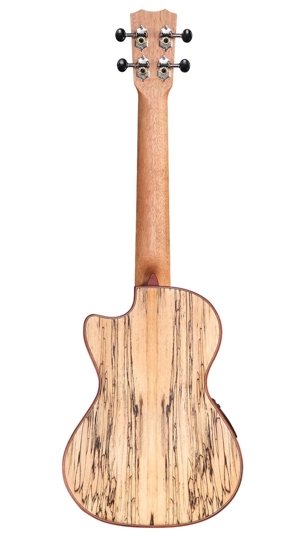 Cordoba 24T-CE Tenor Ukulele w/Pickup - Spruce / Spalted Maple