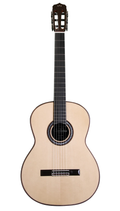 Cordoba C10 CROSSOVER Classical Guitar w/Polyfoam Case