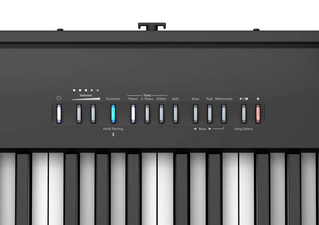 Roland FP-30X Portable Digital Piano - Black (FP30)
