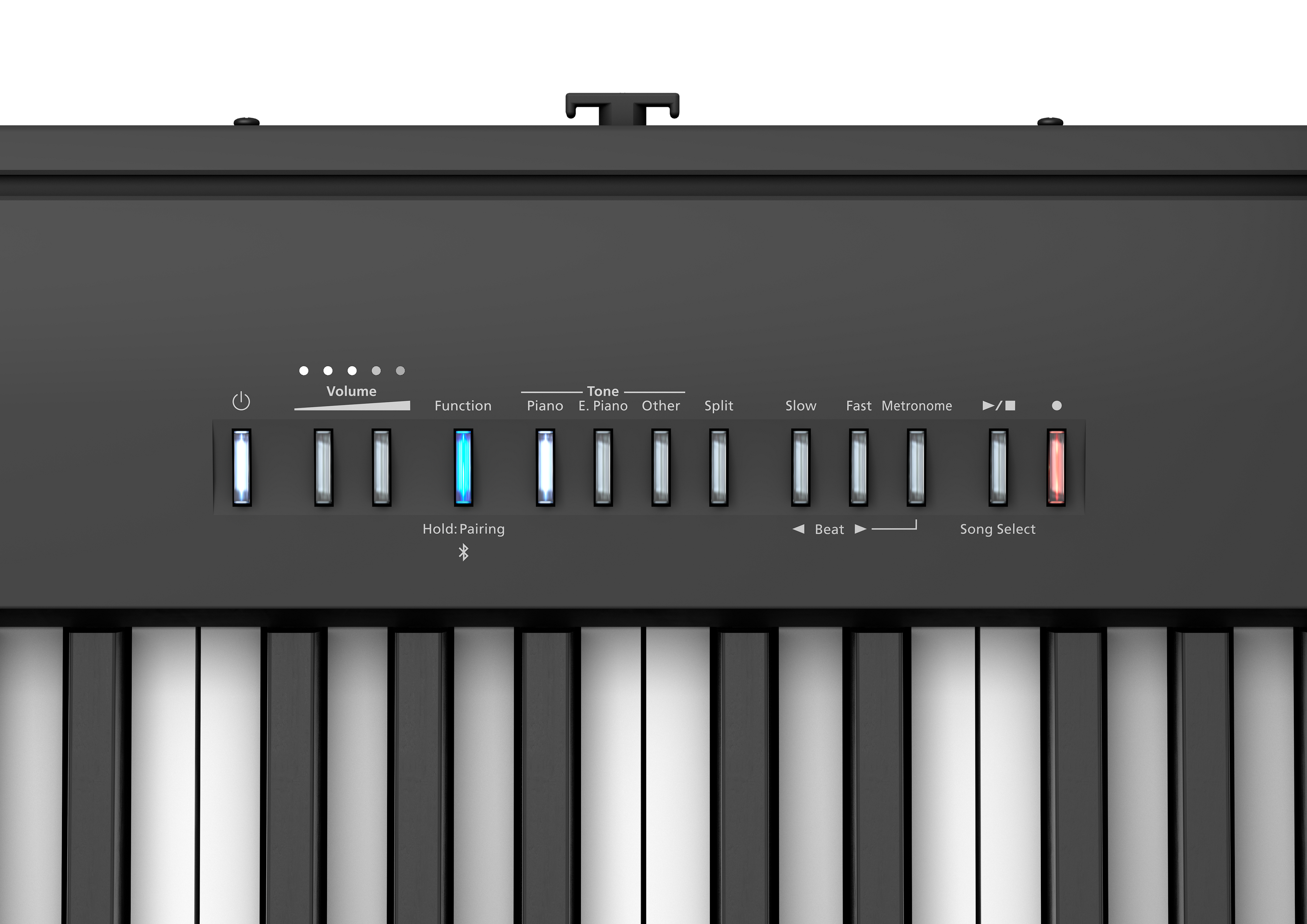 Roland FP-30X Portable Digital Piano - Black (FP30)