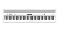 Roland FP60X Digital Piano - White