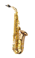 Yanagisawa AWO20 Professional Bronze Alto Sax