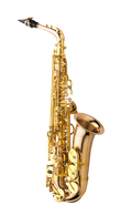Yanagisawa AWO2 Bronze Professional Alto sax (A-WO2)