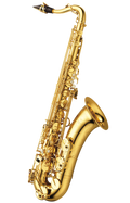 Yanagisawa TWO10 Professional Tenor Saxophone (T-W010)