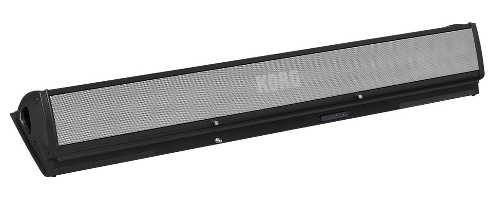 Korg PaAS MK2 Speaker System for PA5X PA4X and PA3X