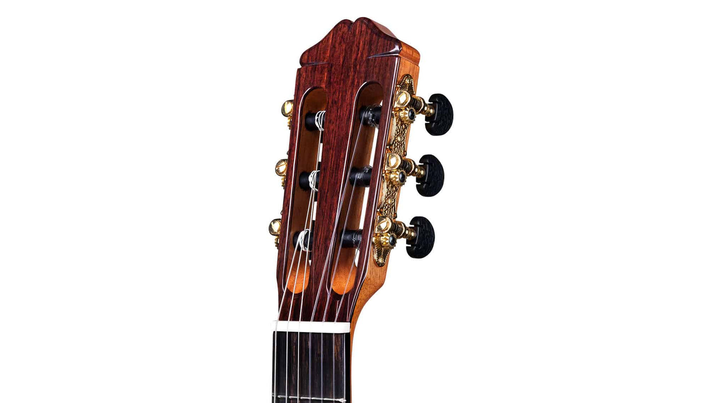 Cordoba 45CO CD Classical Nylon String Guitar - Solid Cedar / Cocobolo - One Only