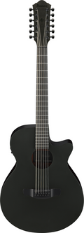 Ibanez AEG1221 12-String Acoustic Guitar - Black Out