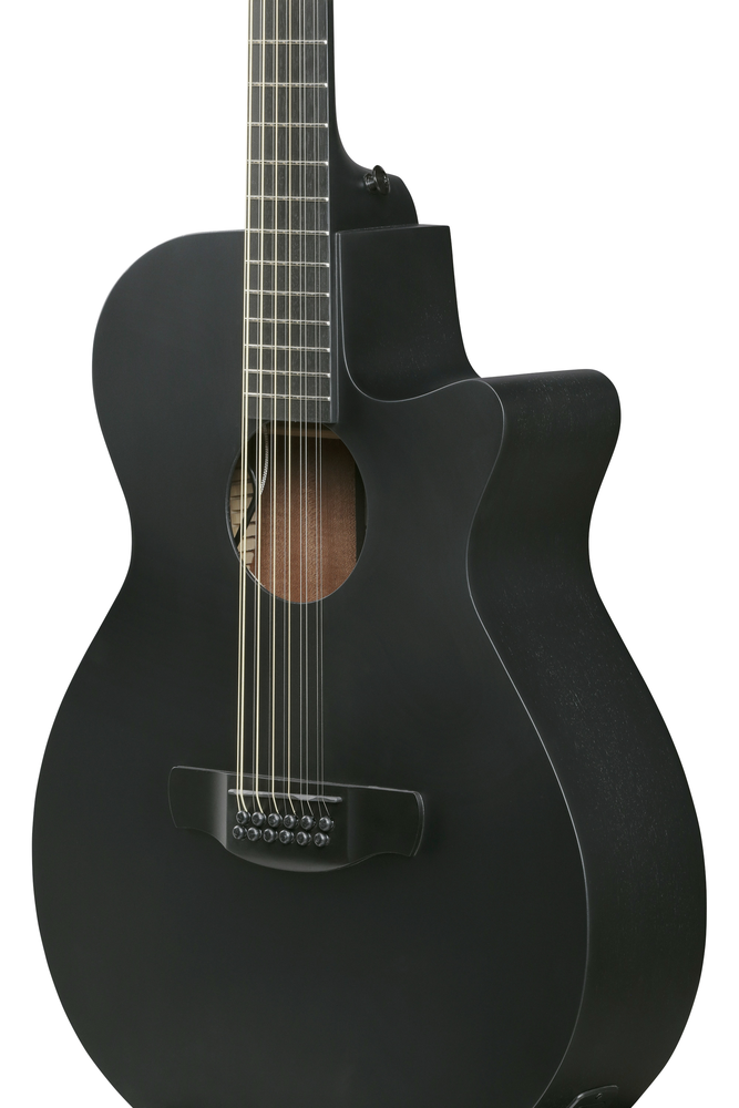 Ibanez AEG1221 12-String Acoustic Guitar - Black Out