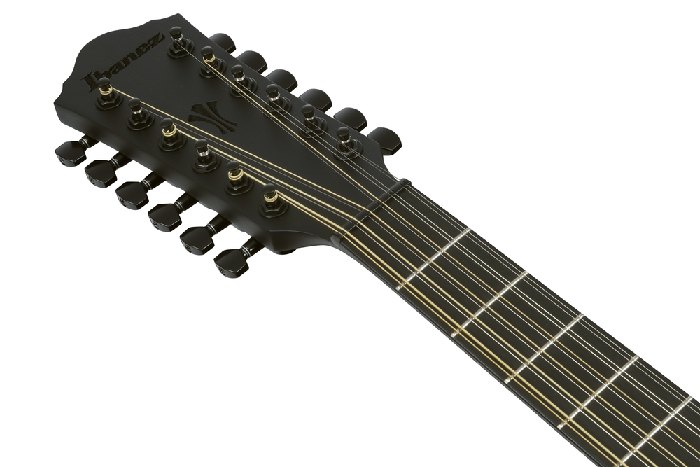 Ibanez AEG1221 12-String Acoustic Guitar - Black Out