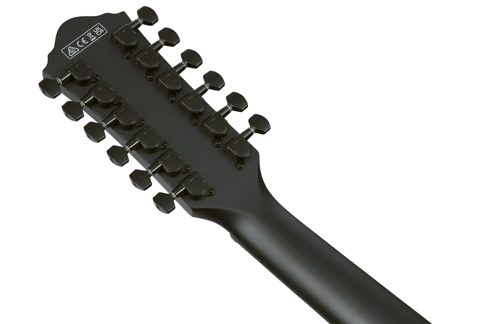 Ibanez AEG1221 12-String Acoustic Guitar - Black Out