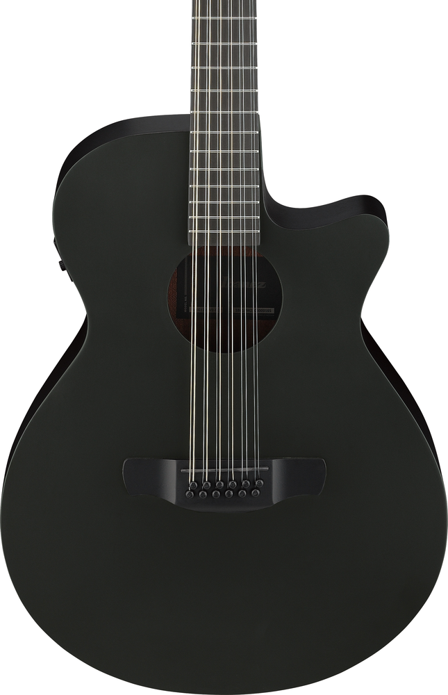 Ibanez AEG1221 12-String Acoustic Guitar - Black Out