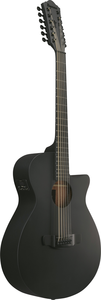 Ibanez AEG1221 12-String Acoustic Guitar - Black Out