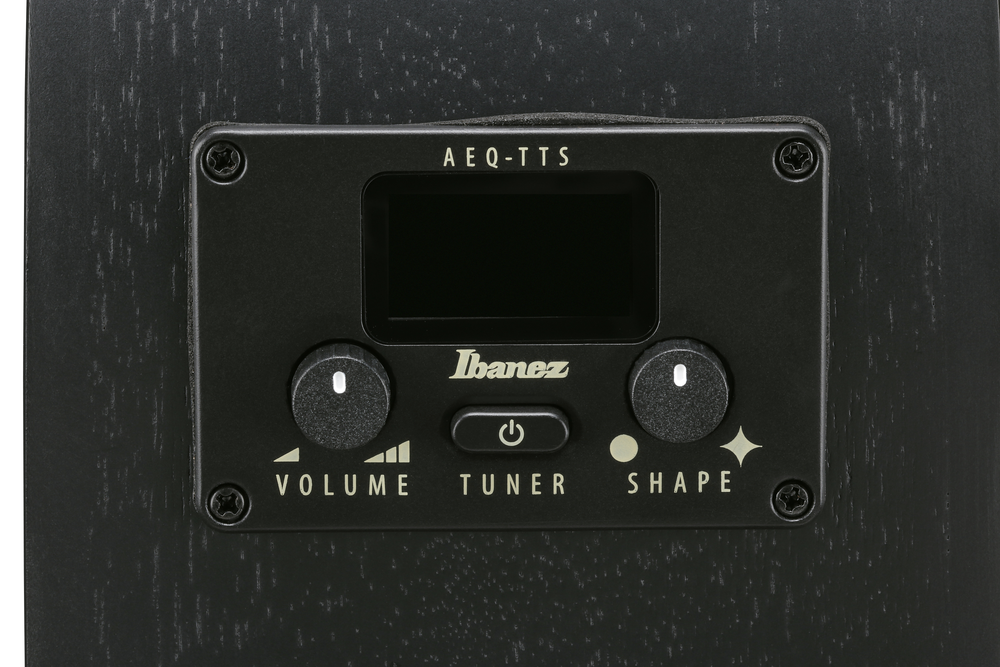 Ibanez AEG621 Acoustic Guitar - Black Out