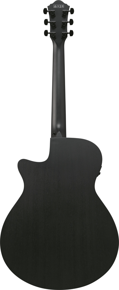 Ibanez AEG621 Acoustic Guitar - Black Out