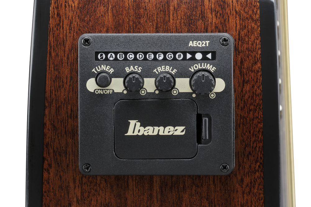 Ibanez AEWC16QA Acoustic Guitar - Transparent Black Sunburst High Gloss top / Natural High Gloss back and sides