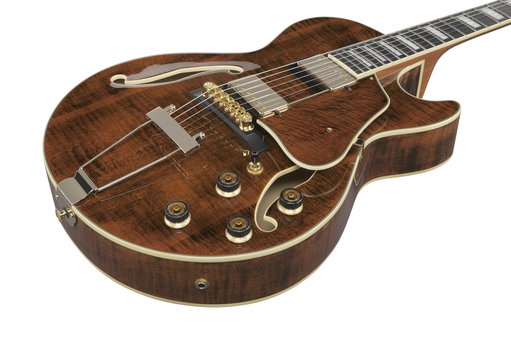 Ibanez AG95MG Electric Guitar - Dark Amber