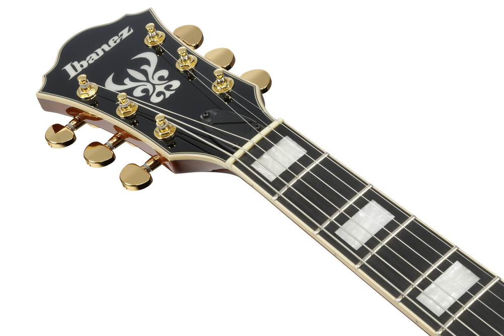 Ibanez AG95MG Electric Guitar - Dark Amber