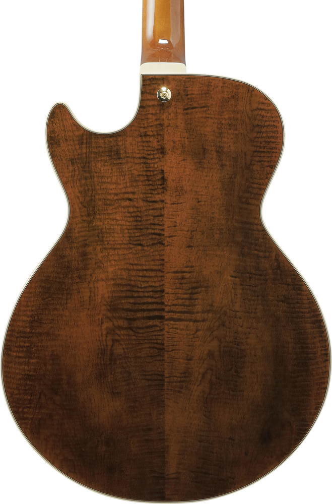 Ibanez AG95MG Electric Guitar - Dark Amber