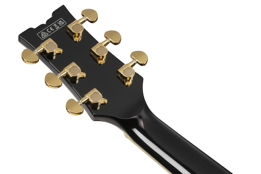 Ibanez AM73G Electric Guitar - Black