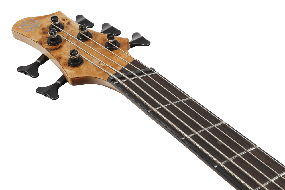 Ibanez BTB805MS Electric Bass - Florid Natural Low Gloss