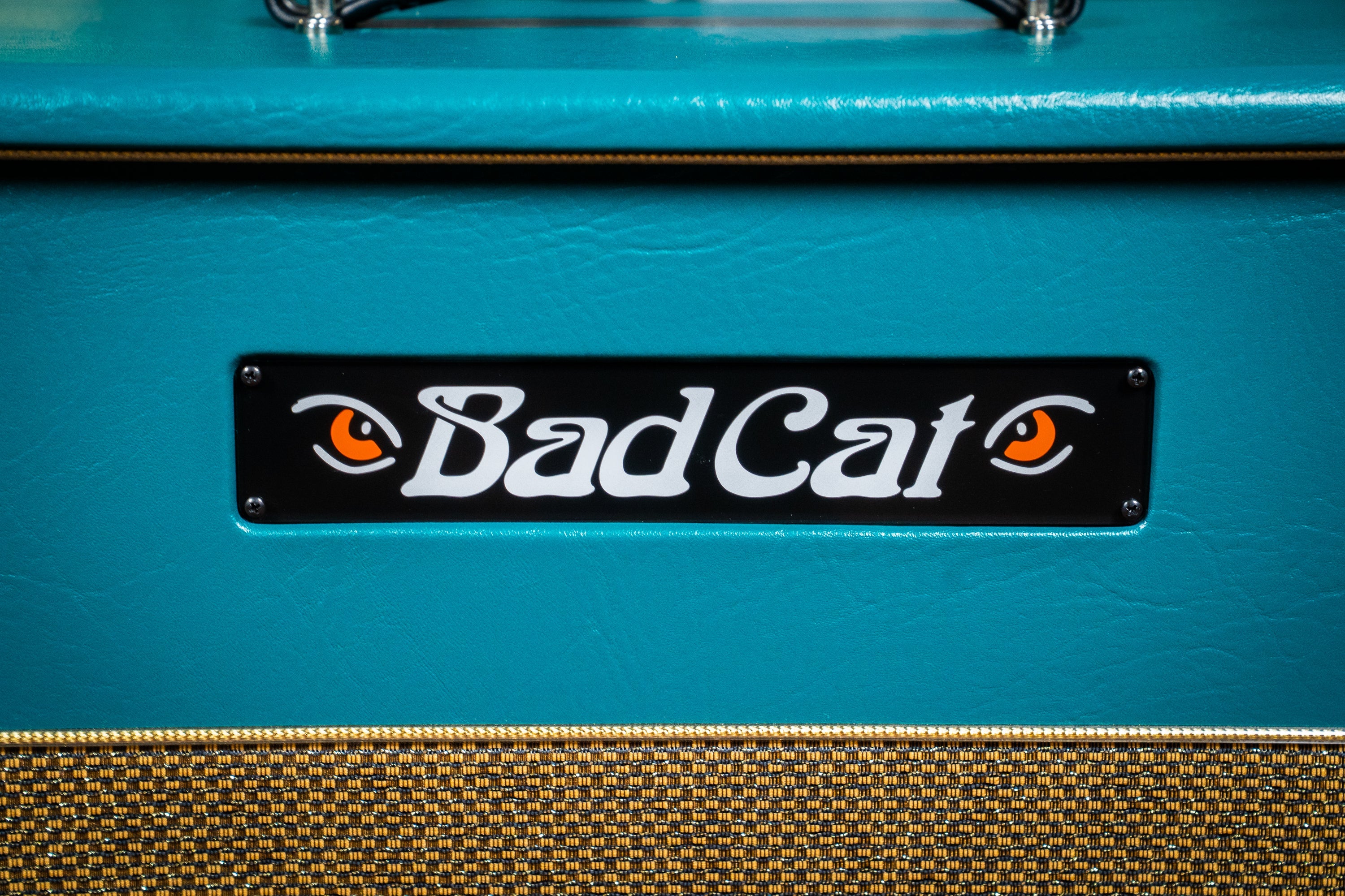 Bad Cat CUSTOM Era 30 1x12" Guitar Cab - Antique Green / Gold Piping