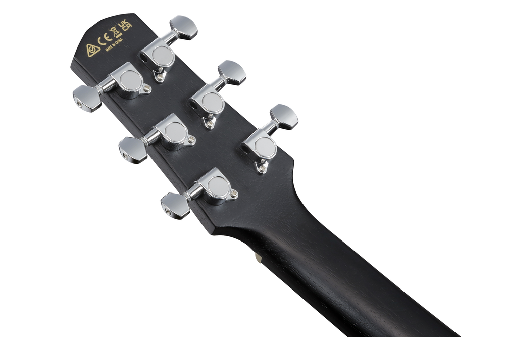 Ibanez EWP16EWB Acoustic Guitar - Galaxy Aqua Open Pore