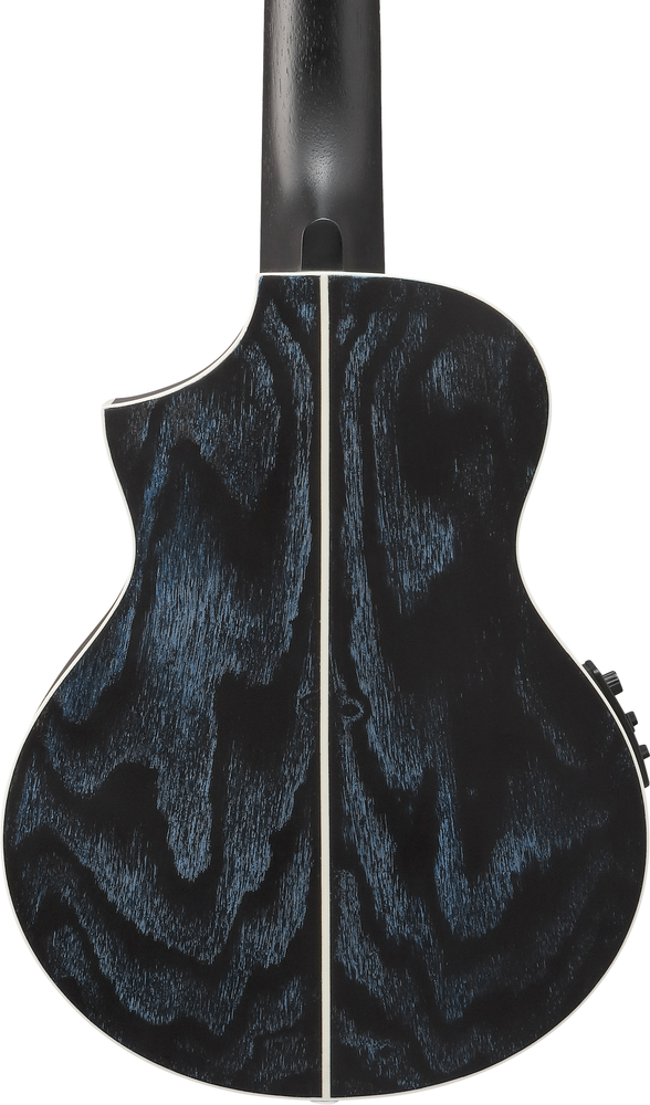 Ibanez EWP16EWB Acoustic Guitar - Galaxy Aqua Open Pore