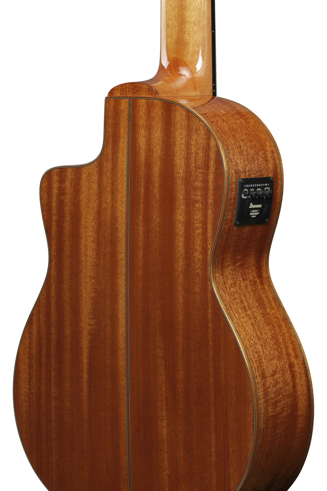 Ibanez GA3008CE 8-String Nylon String Guitar - Natural High Gloss