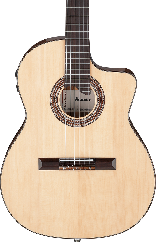 Ibanez GA360TCE Nylon String Guitar -  Natural High Gloss