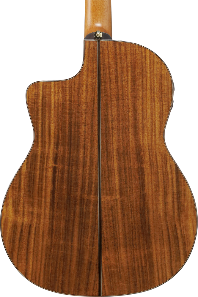Ibanez GA360TCE Nylon String Guitar -  Natural High Gloss