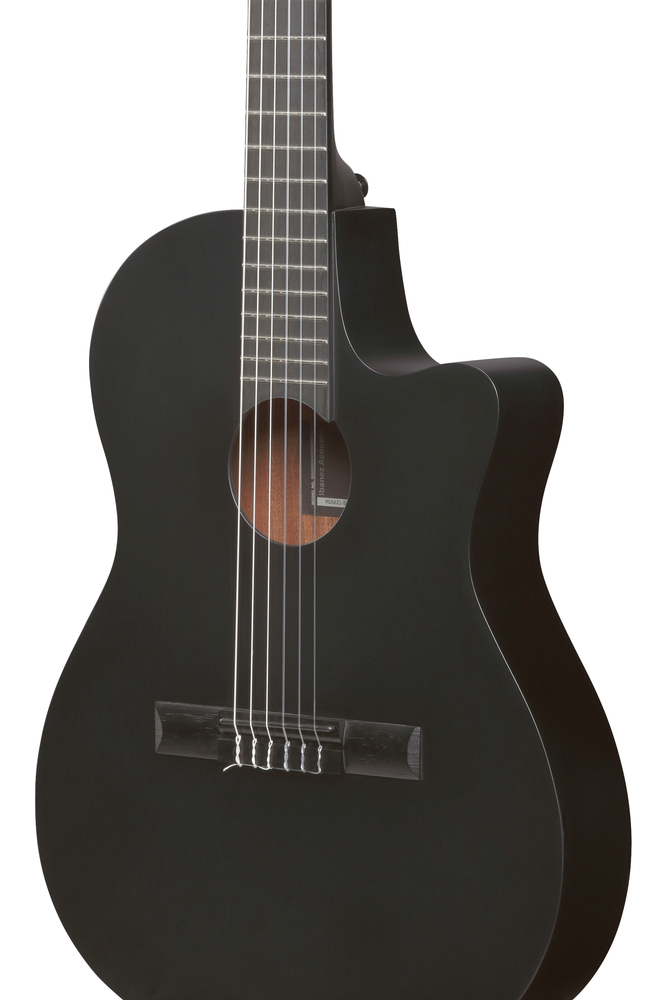 Ibanez GA621 Acoustic Guitar - Black Out