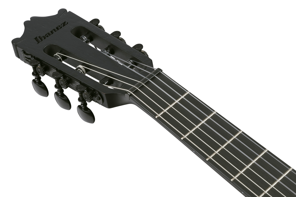 Ibanez GA621 Acoustic Guitar - Black Out