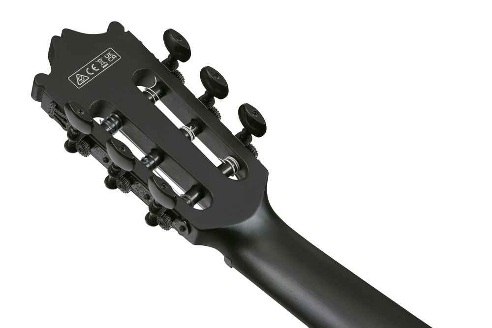 Ibanez GA621 Acoustic Guitar - Black Out