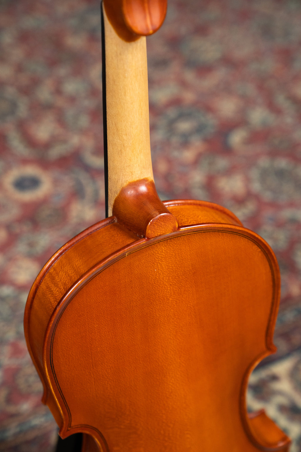 GLIGA III VIOLIN 4/4 OUTFIT SET UP WITH TONICA STRINGS
