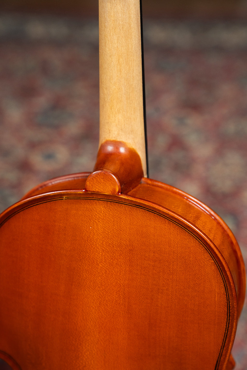 GLIGA III VIOLIN 4/4 OUTFIT SET UP WITH TONICA STRINGS