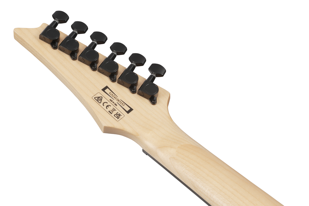 Ibanez GRG120QASP Electric Guitar - Black Gradation