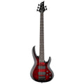 ESP LTD B205 DX - Red Burst