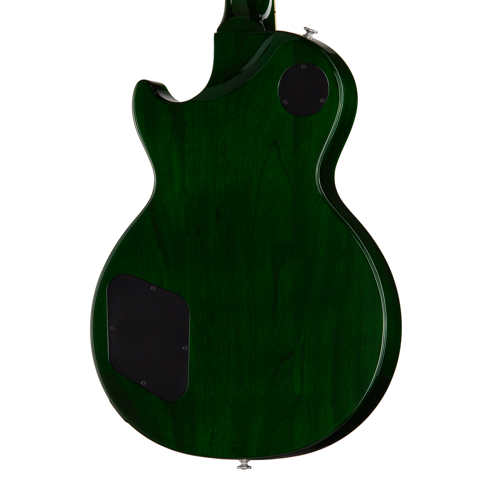 Gibson Les Paul Studio Session - Iguana Burst