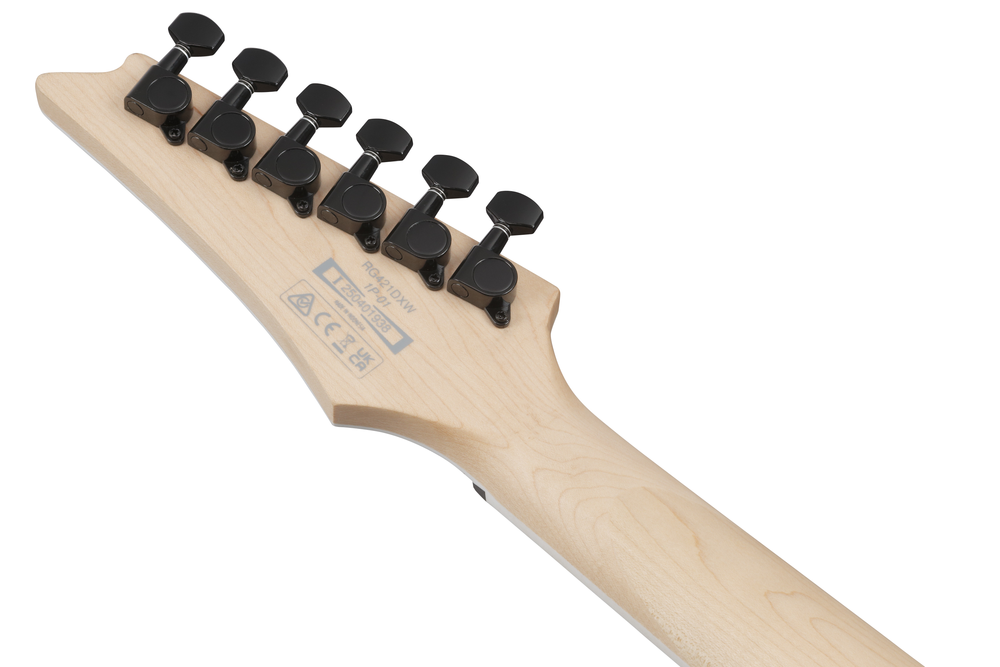 Ibanez RG421DX Electric Guitar - Twilight Shade