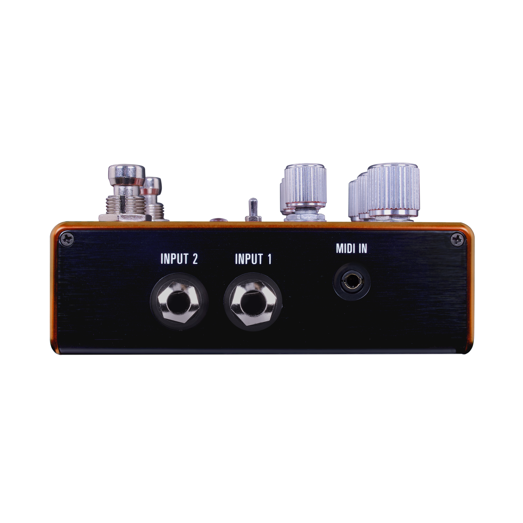 Source Audio PATHWAYS Stereo Reverb + Tremolo Pedal