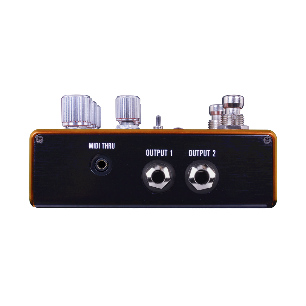 Source Audio PATHWAYS Stereo Reverb + Tremolo Pedal