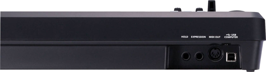 Roland A49 MIDI Keyboard Controller - Black (A-49BK)