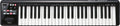 Roland A49 MIDI Keyboard Controller - Black (A-49BK)