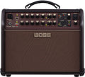 Boss Acoustic Singer Live Amplifier Combo