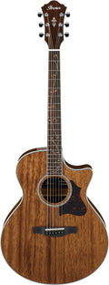 Ibanez AE245 NT Acoustic Electric Guitar - Natural