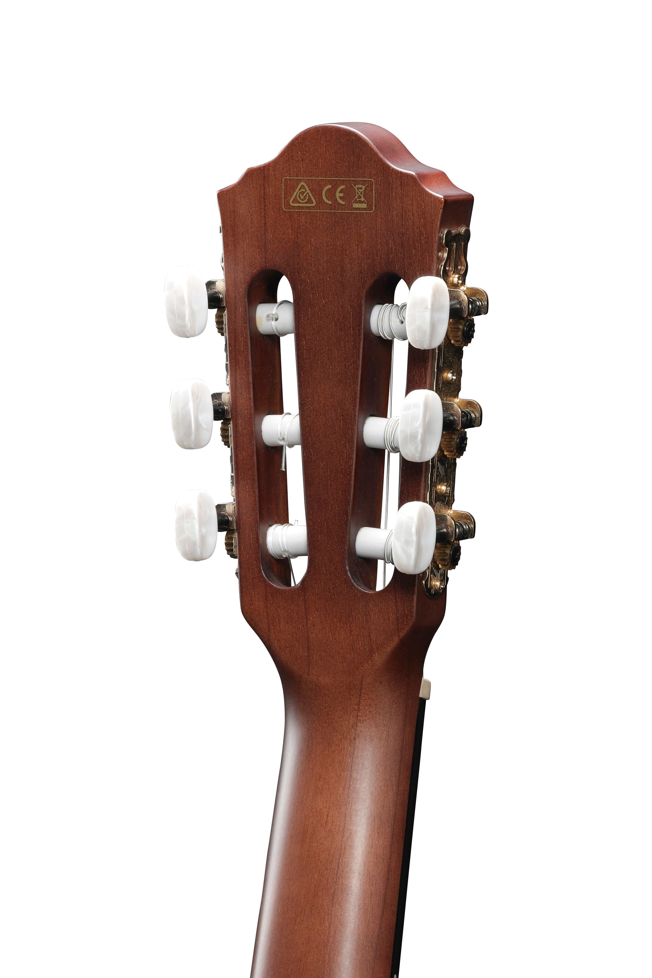 Ibanez AEG50 NNT Acoustic Guitar