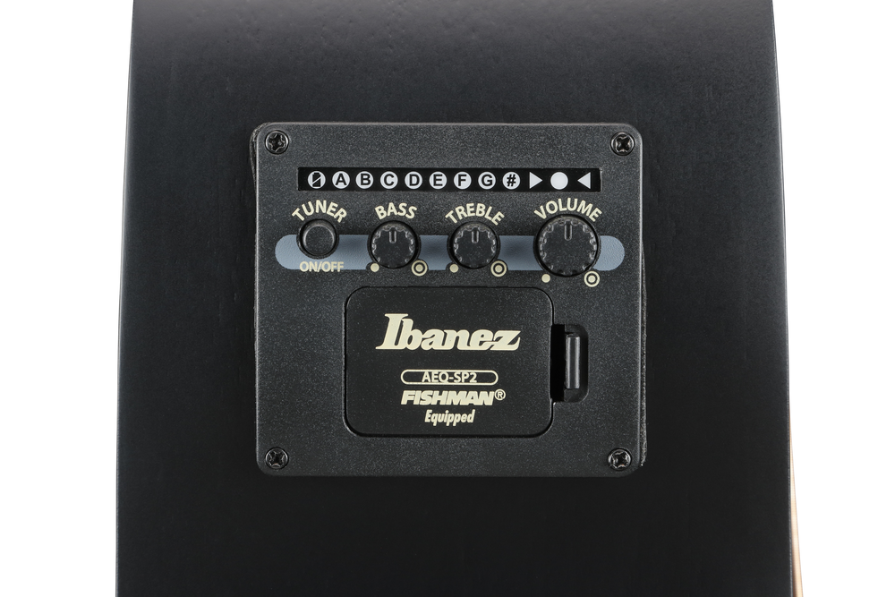 Ibanez AEG721 Acoustic Guitar - Black Out