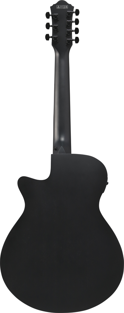 Ibanez AEG721 Acoustic Guitar - Black Out