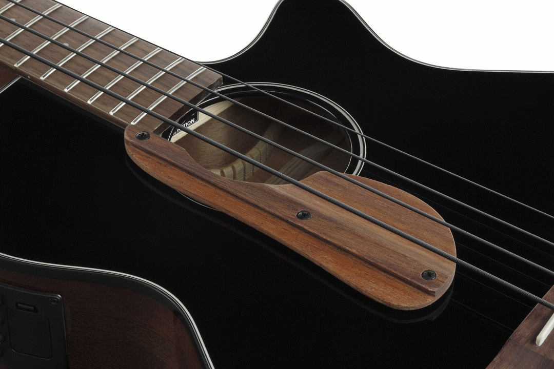 Ibanez AEGB24E BKH Acoustic Electric Bass - Black High Gloss