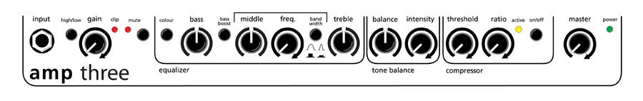 AER Amp Three 2x8" Bass Amp Combo